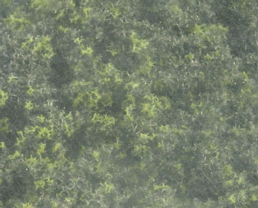 Dollhouse Miniature Underbrush Clump Foliage Forrest Blend